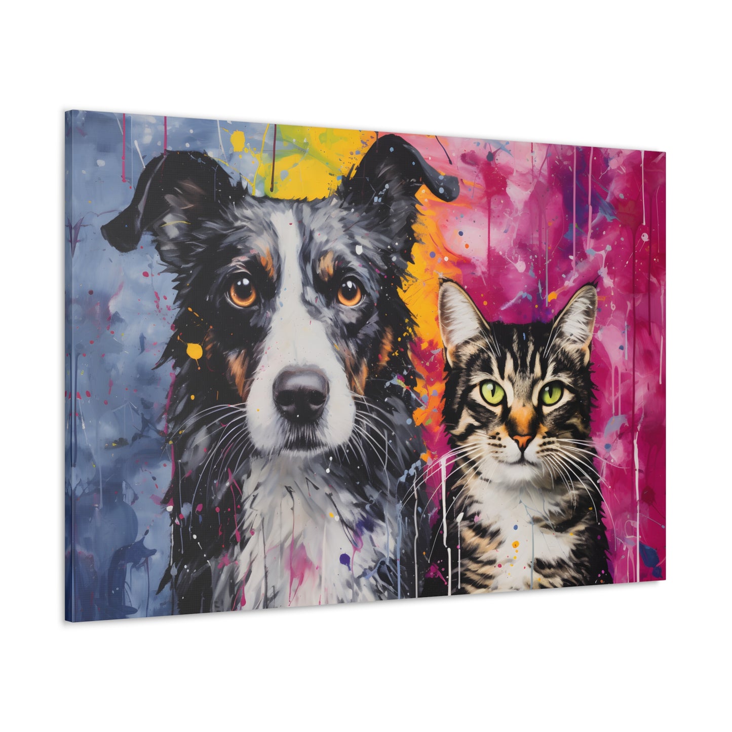 Dog & Cat