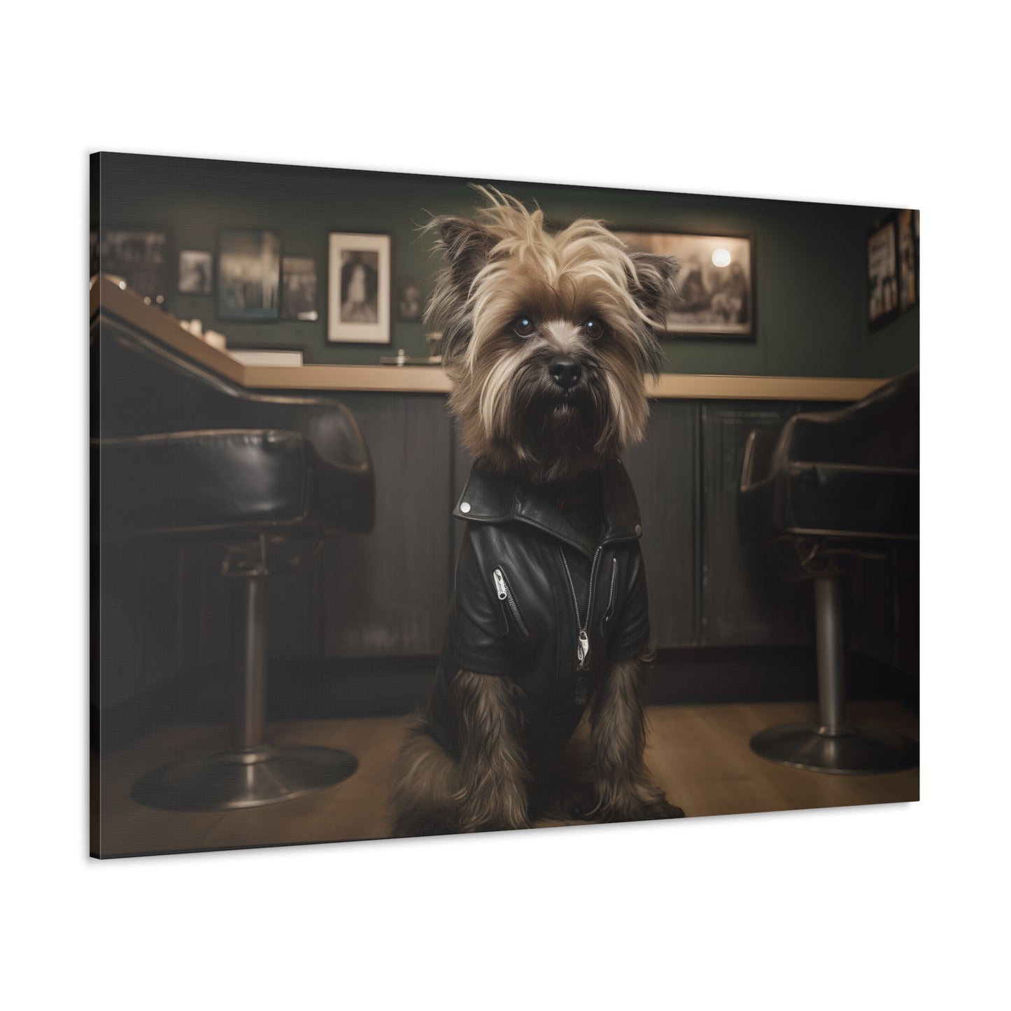 Brussels Griffin In Leather Jacket