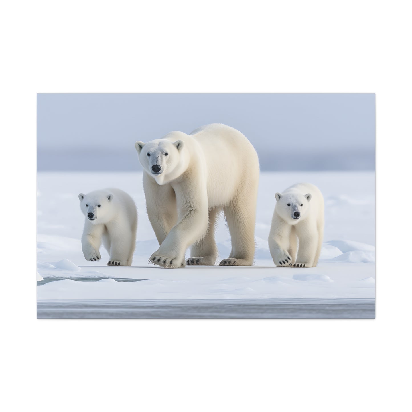 Polar Bears (Mom & Cubs)
