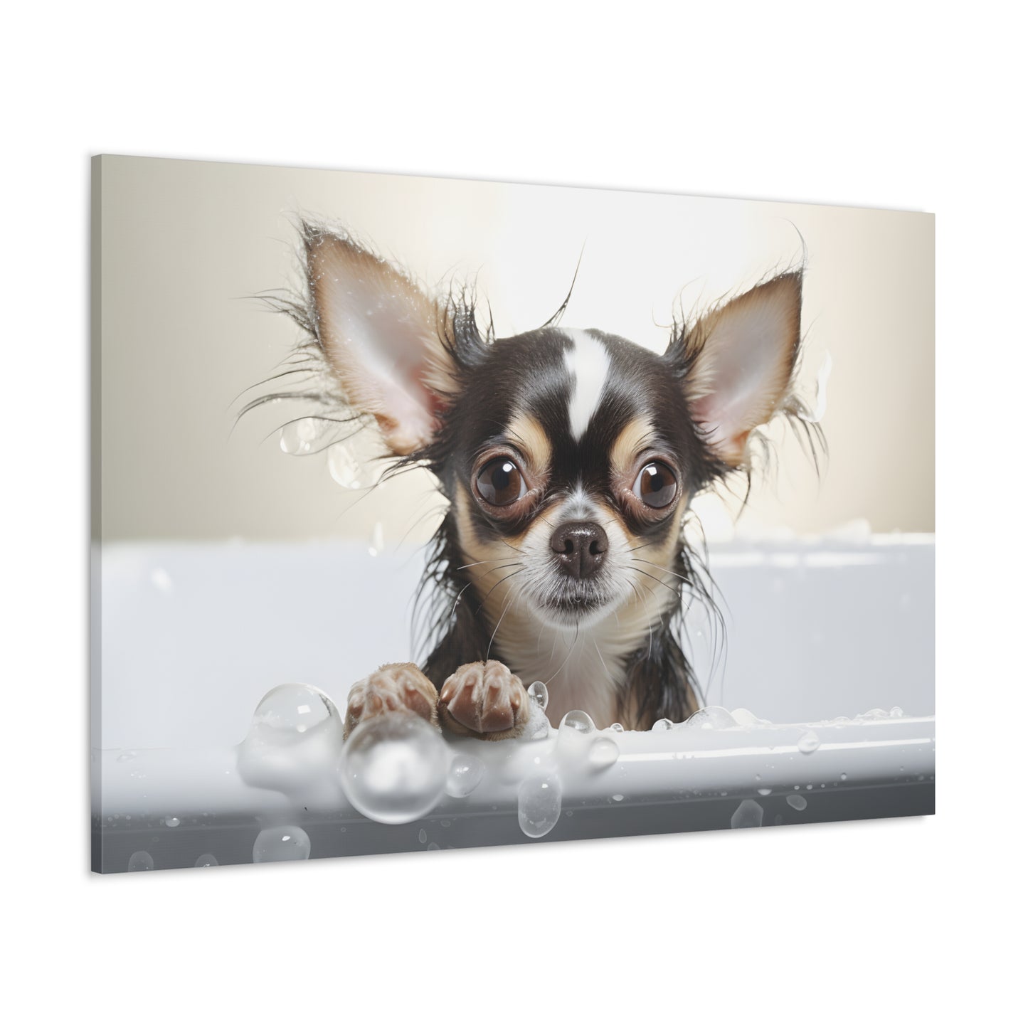 Teacup Chihuahua (Bubble Bath)