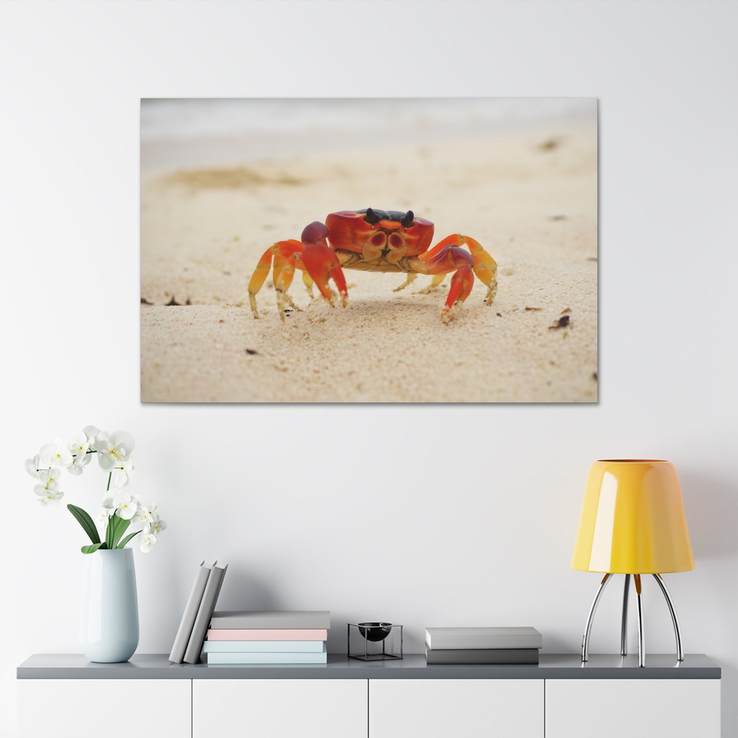 Sun Crab