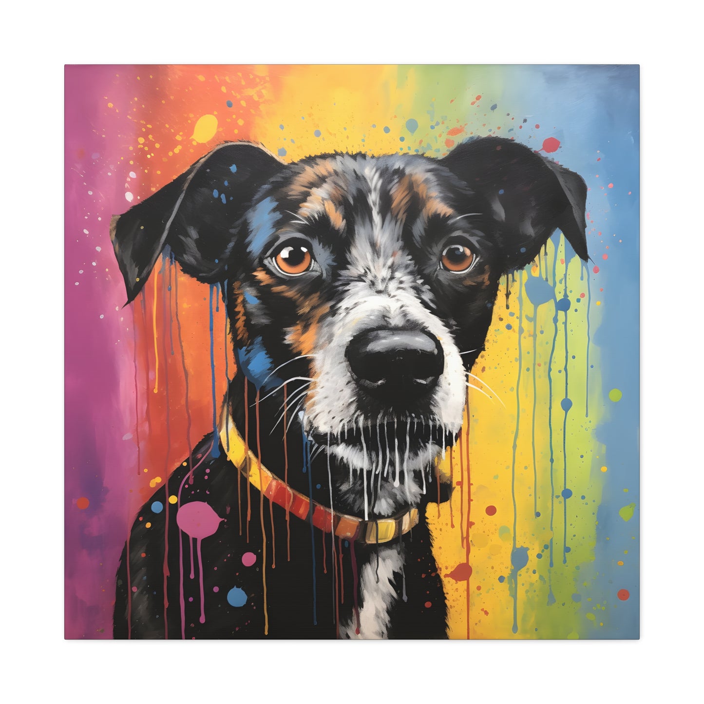 Rainbow Splash Dog