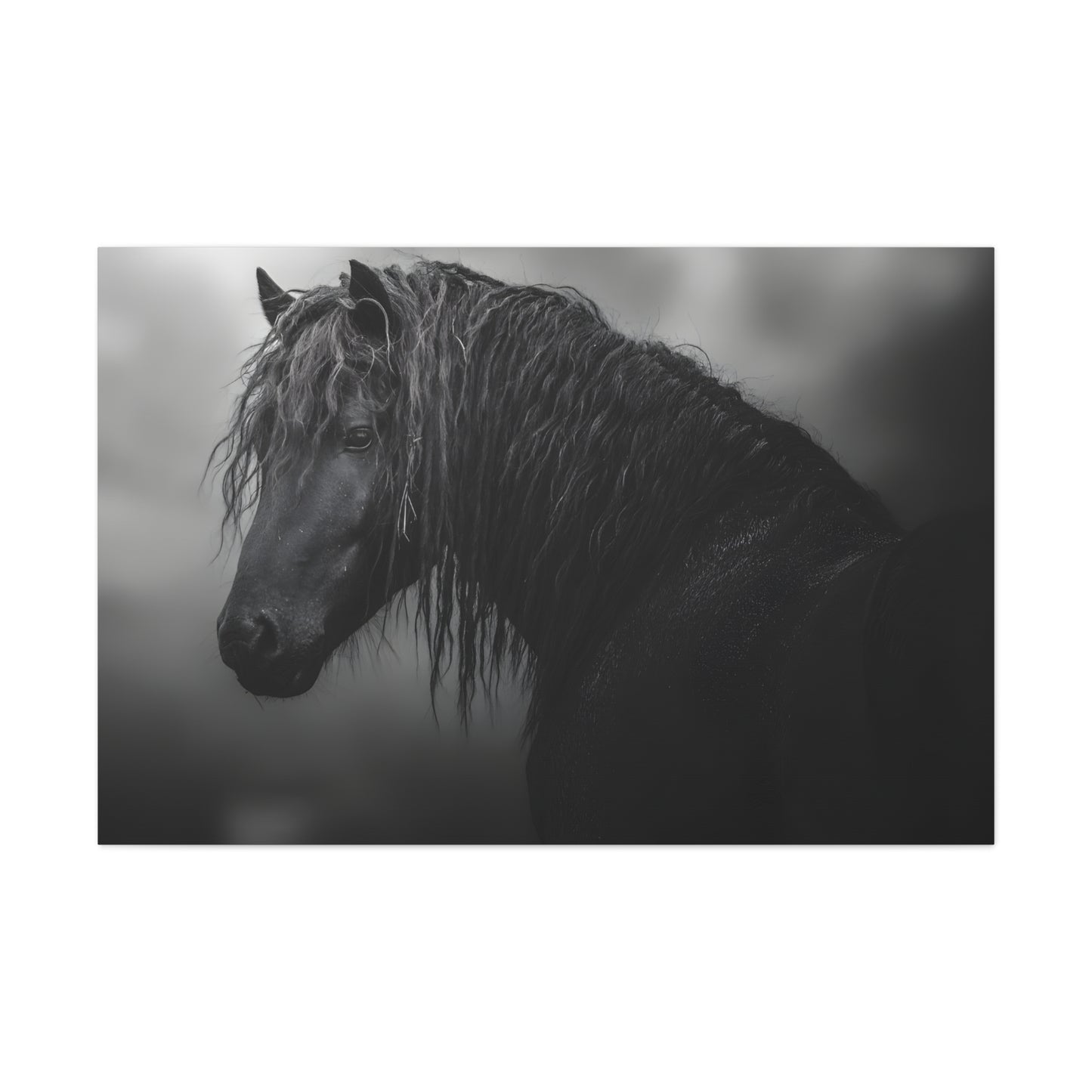 Black Beauty (Mare)