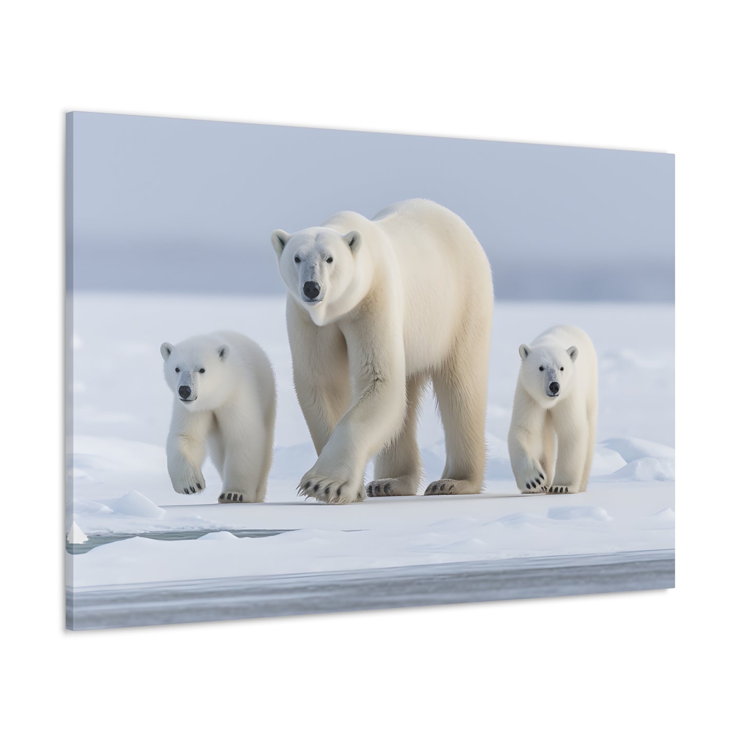 Polar Bears (Mom & Cubs)