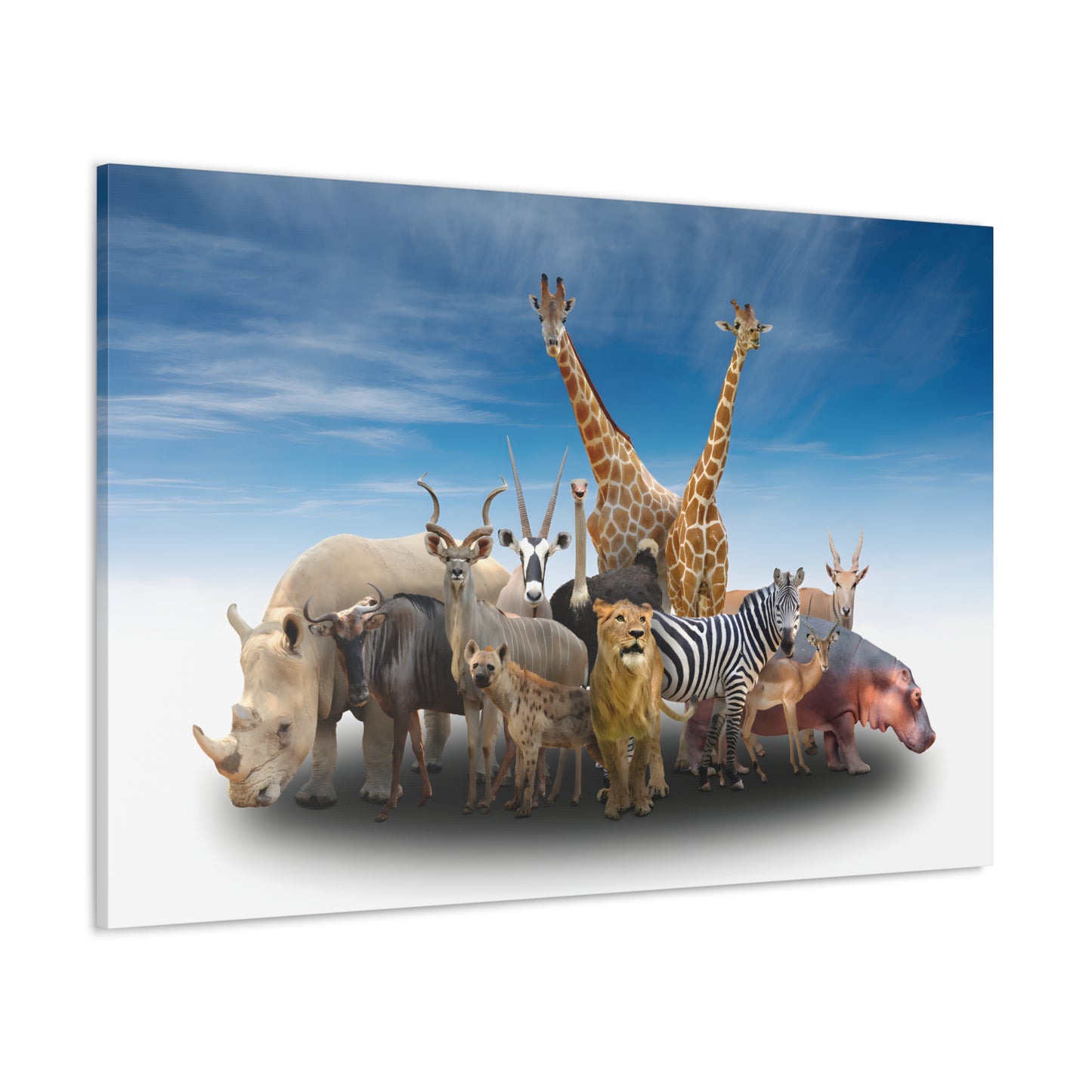 African Animals