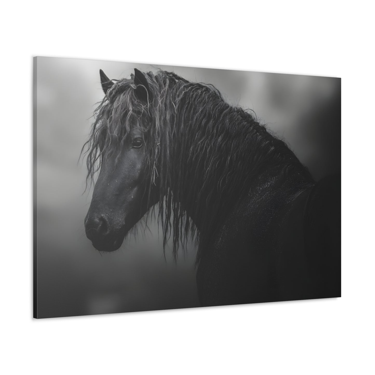 Black Beauty (Mare)