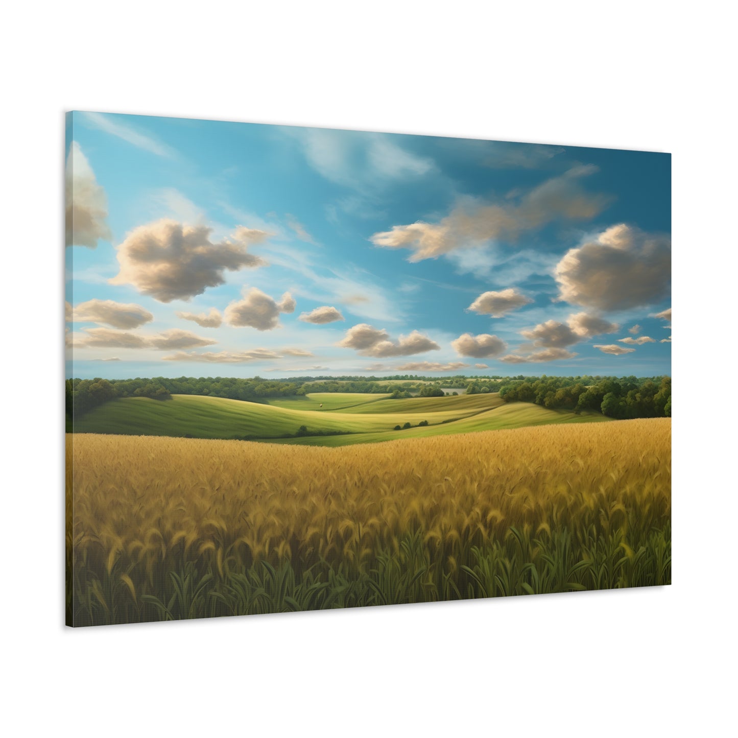 Wide Open Spaces (God's Country)