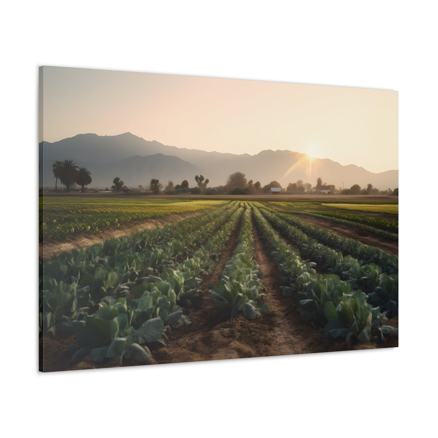 Agriculture Crops