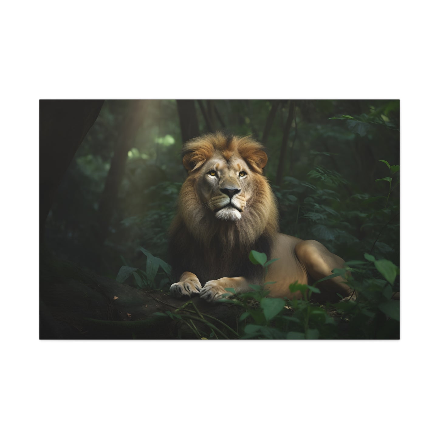 Lion In The Jungle
