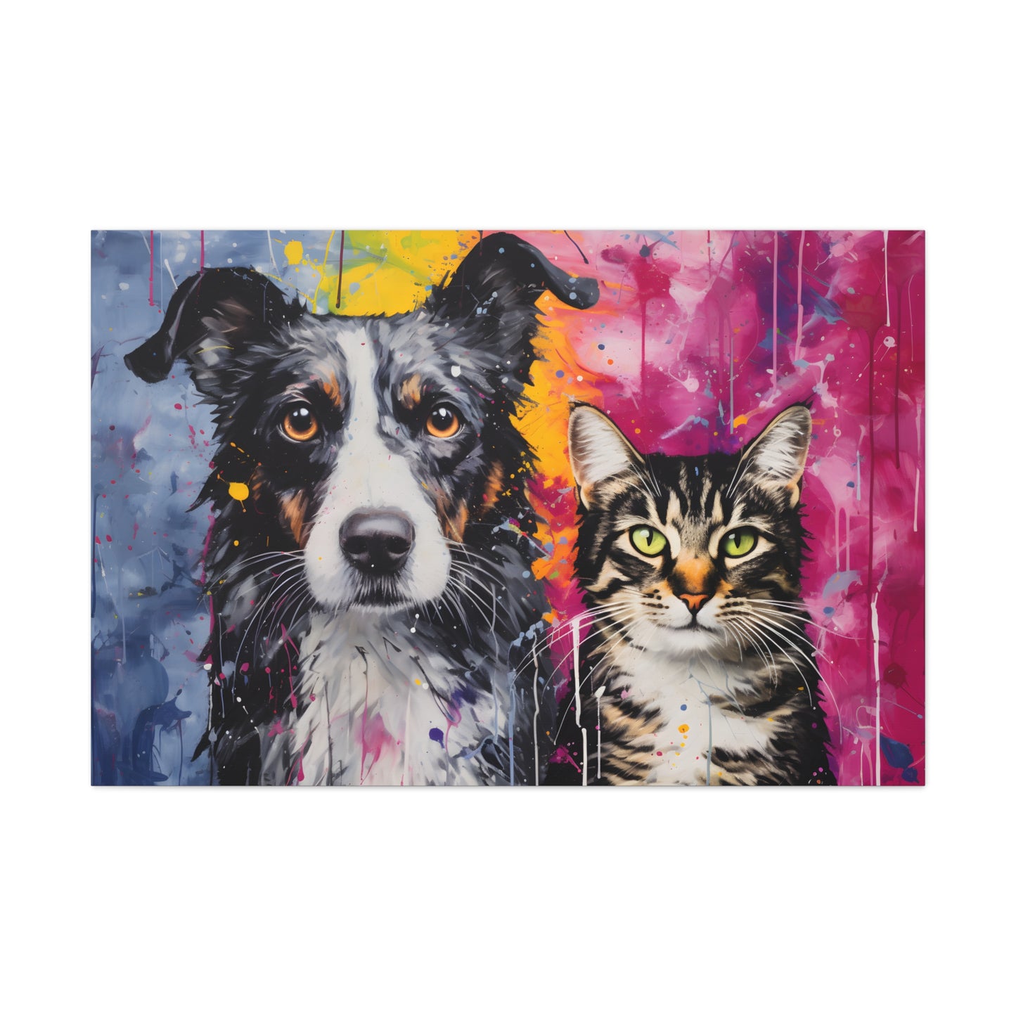 Dog & Cat