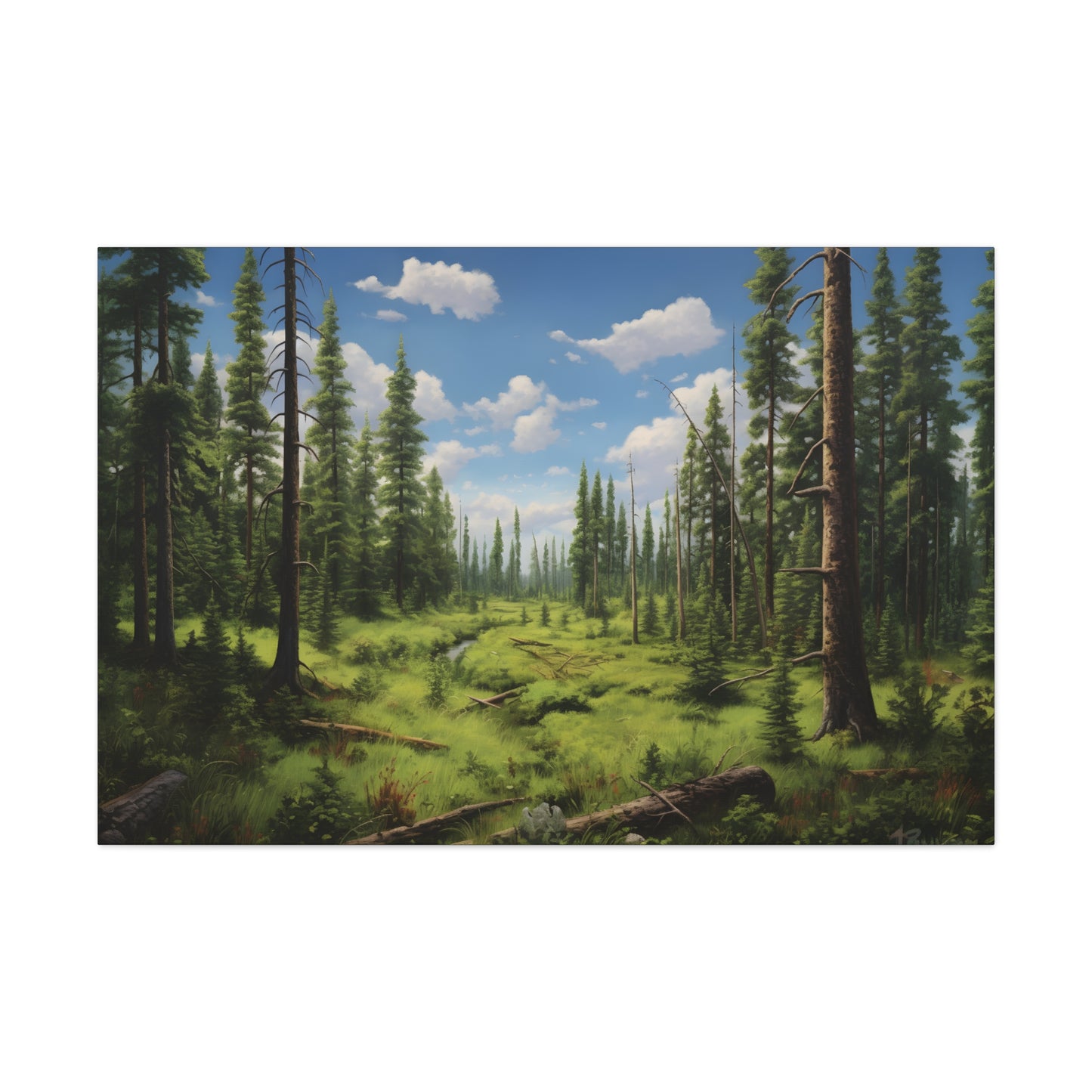 New Growth Forest
