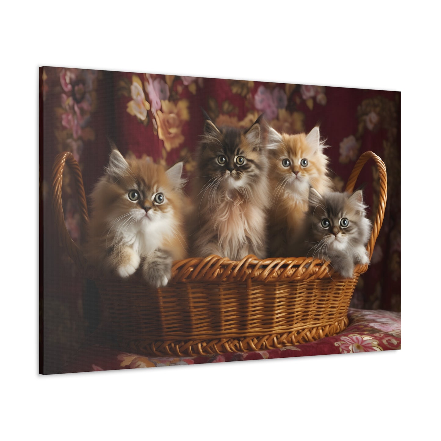 Himalayan Kittens (In a Basket)