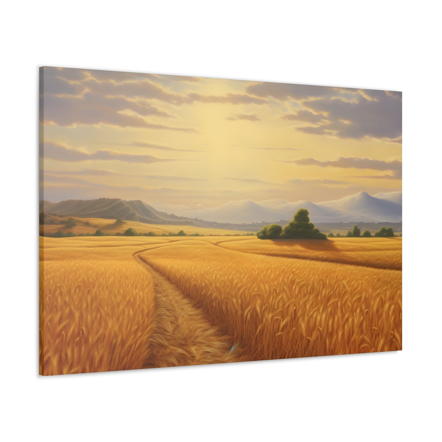 Golden Fields Of Wheat