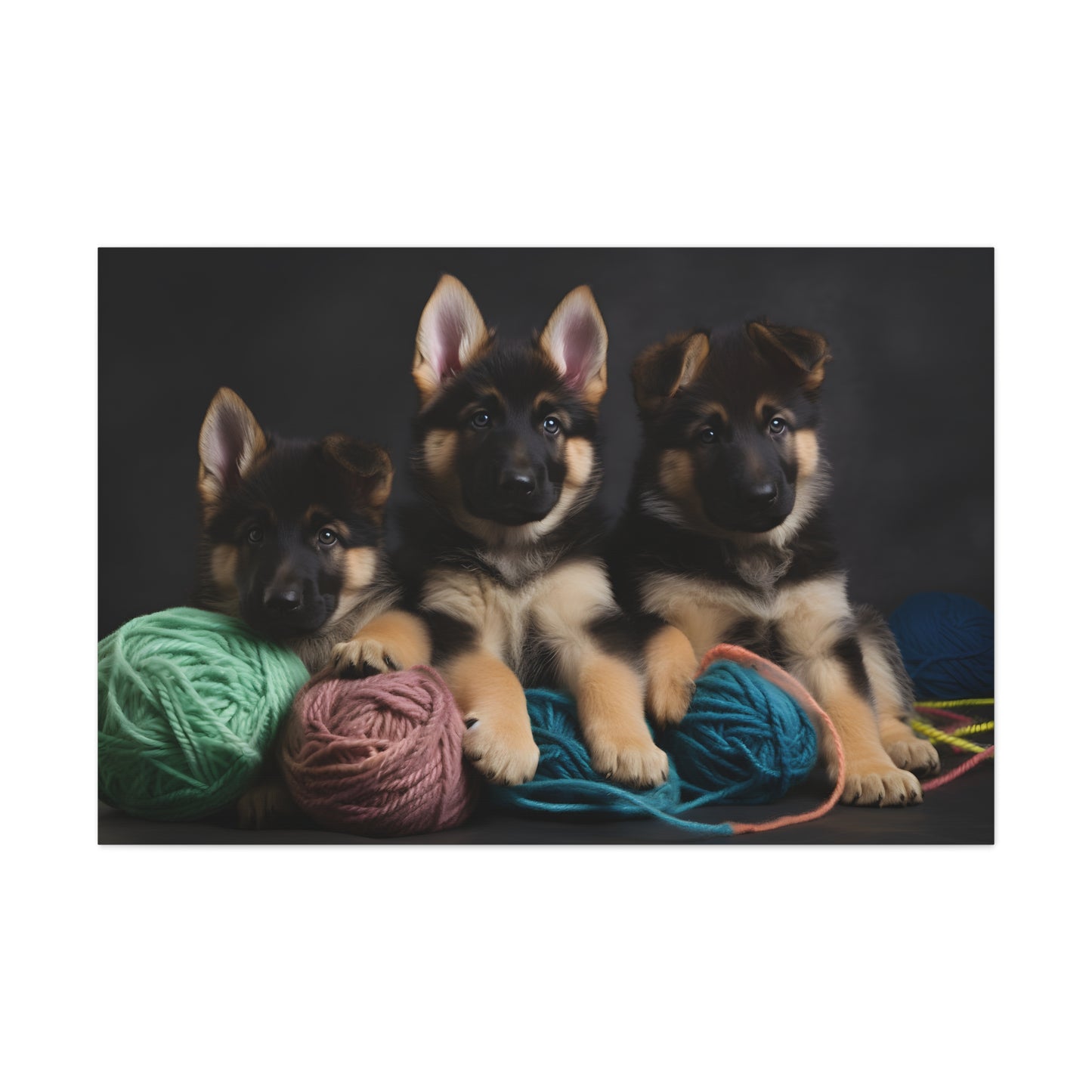 German Shepherd Puppies (Dogs)