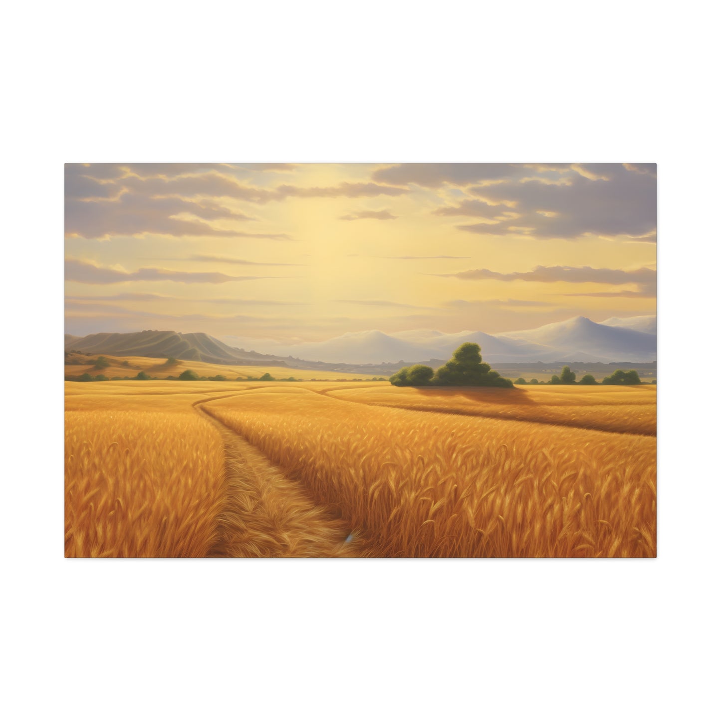 Golden Fields Of Wheat