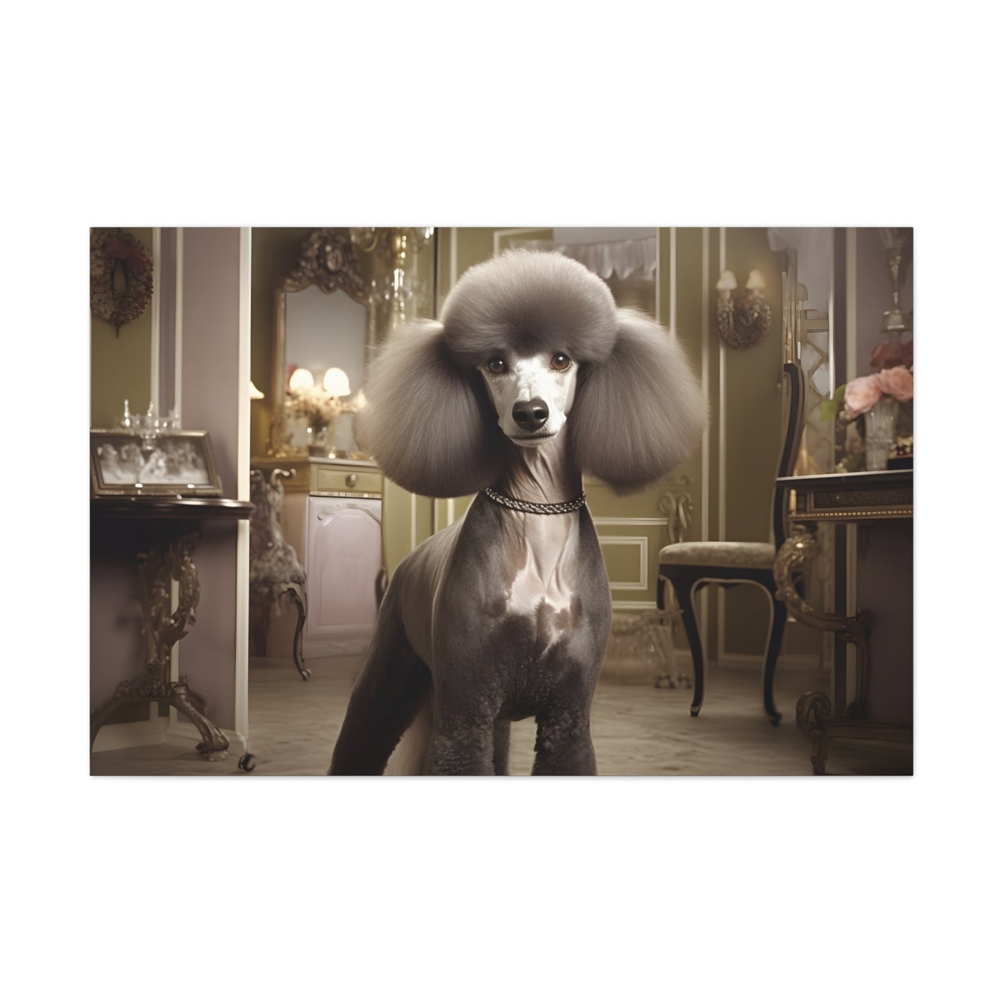 Poodle In The Palace